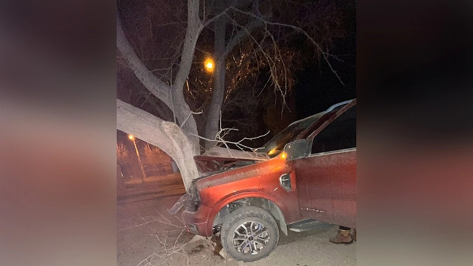 Malargue: Borracho choco contra un árbol 